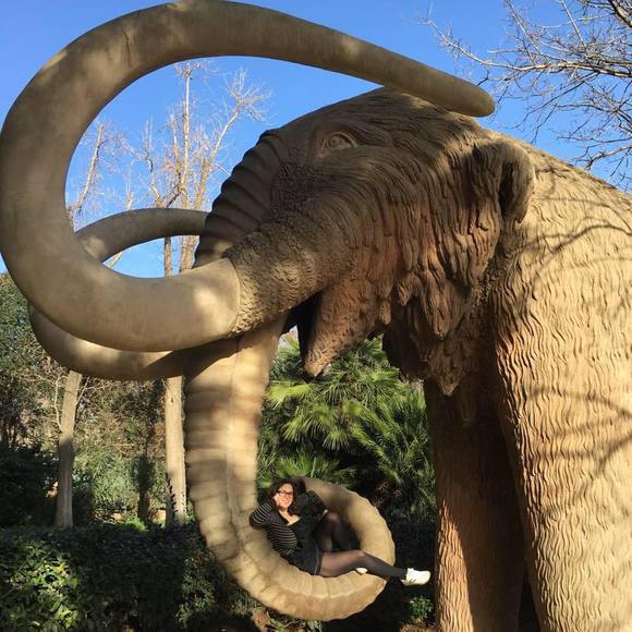 Meet your Posher, Maddy - Picture 1 of 1